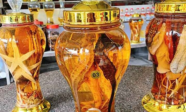 Thực hư việc quý ông uống rượu ngâm động vật giúp tăng cường sinh lý?