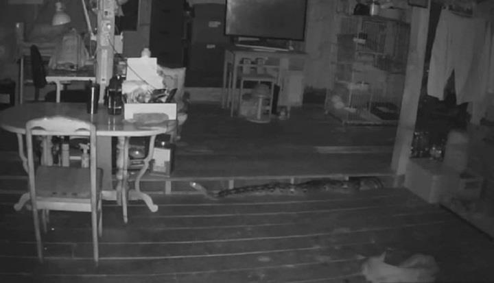 Clip: Rợn gáy khi thấy 