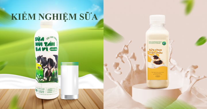 Công ty sữa Núi Tản Ba Vì đang kinh doanh như thế nào?