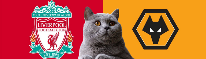 Nhận định soi kèo trận Wolves vs Liverpool, Ngoại hạng Anh, 23h30 ngày 28/9: Mèo tiên tri nhẫn tâm