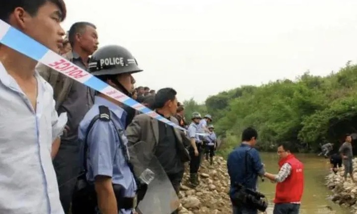 Phát hiện cây gỗ thơm khổng lồ bên suối, lão nông vô tình 