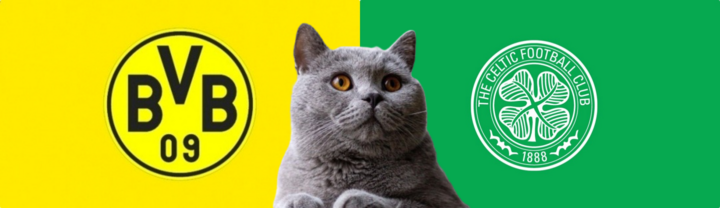 Nhận định soi kèo trận Dortmund vs Celtic, Champions League 2h ngày 2/10: Mèo tiên tri tin ai?