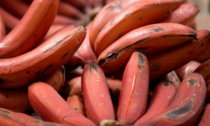 Chuối đỏ có tác dụng gì?