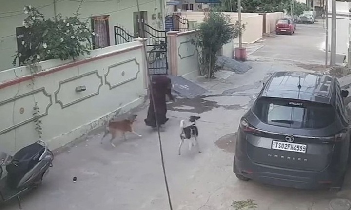 Clip: Thót tim khoảnh khắc 2 người bị chó hoang tấn công ngay trước cửa nhà