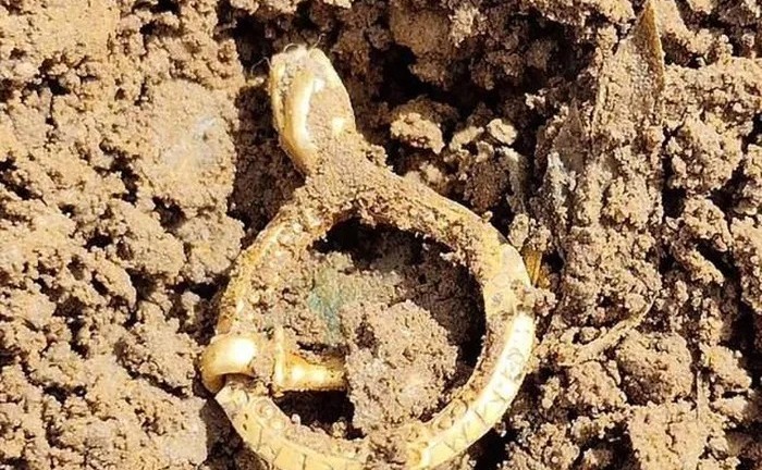 Lang thang trên cánh đồng lớn, anh nông dân may mắn tìm thấy 