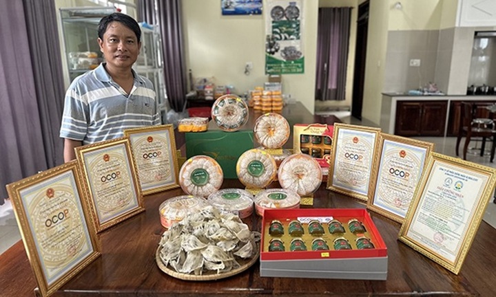 Bỏ thành phố hoa lệ về quê