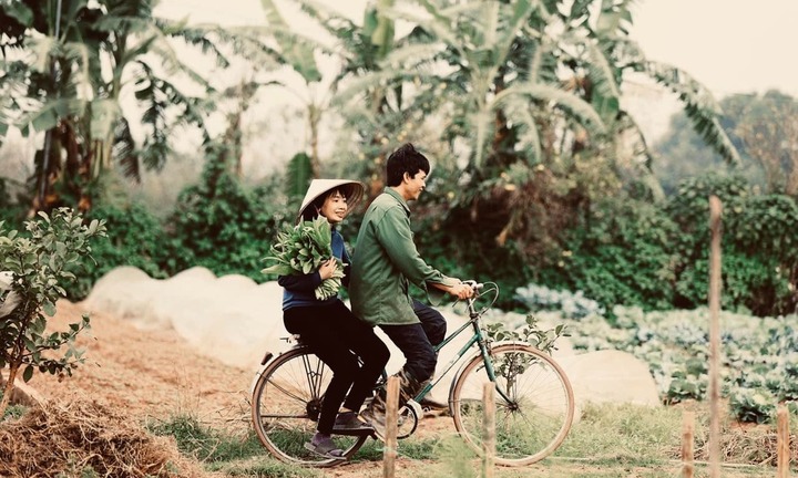 Bỏ phòng thí nghiệm 