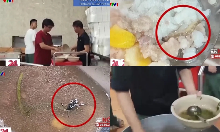 Vụ sinh viên Bách khoa ăn cơm thừa, có dị vật: Bộ GD&ĐT ra công văn 