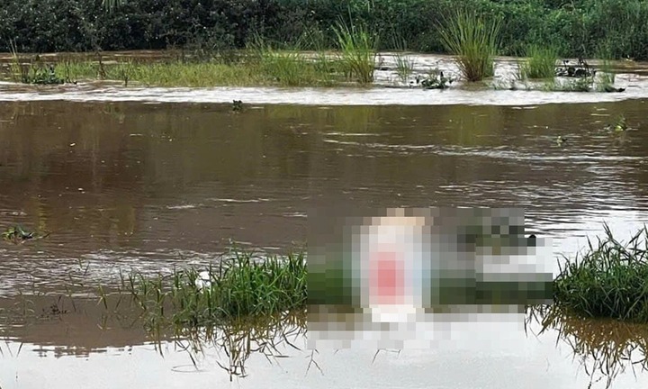 Vụ phát hiện thi thể phụ nữ trên sông ở Bình Định: Nghi phạm trốn trong miếu hoang