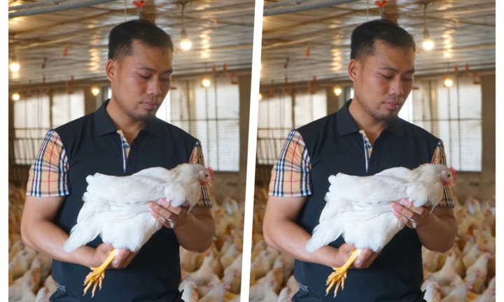 Bỏ phố về quê nuôi gà, chàng trai trẻ 