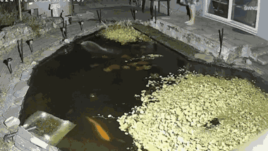 Clip: Ngã ngửa khi biết