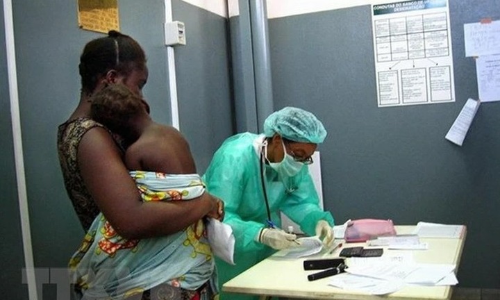 TP.HCM triển khai các biện pháp ngăn chặn nguy cơ xâm nhập bệnh do virus Marburg