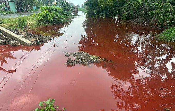 Tin thời sự mới nhất ngày 29/10: Nước kênh ở TP.HCM chuyển màu đỏ