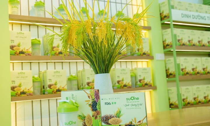 Sữa hạt Suone và 7 lý do bất ngờ từ người tiêu dùng? 