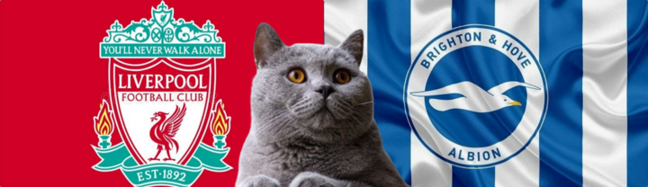 Nhận định  trận Liverpool vs Brighton, Ngoại hạng Anh 22h ngày 2/11: Mèo tiên tri cổ vũ ai?