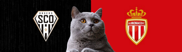 Nhận định trận Monaco vs Angers, Ligue 1 1h ngày 2/11: Mèo tiên tri “biết điều”