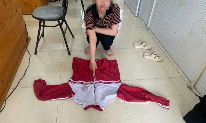 Vụ giả dạng học sinh vào lớp lấy trộm nhiều tài sản: 