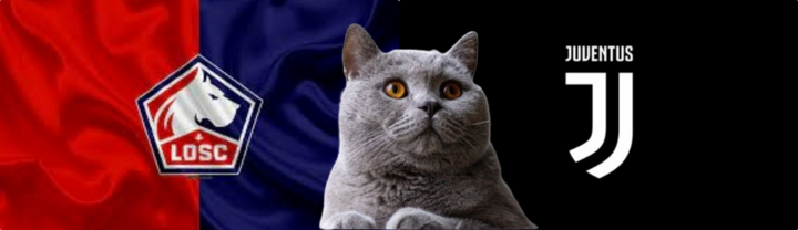 Nhận định trận Lille vs Juventus, Champions League 3h ngày 6/11: Mèo tiên tri cùng suy nghĩ