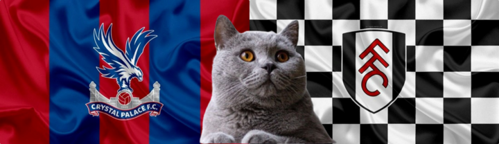 Dự đoán kết quả trận Crystal Palace vs Fulham, Ngoại hạng Anh 22h ngày 9/11: Mèo tiên tri “làm màu”