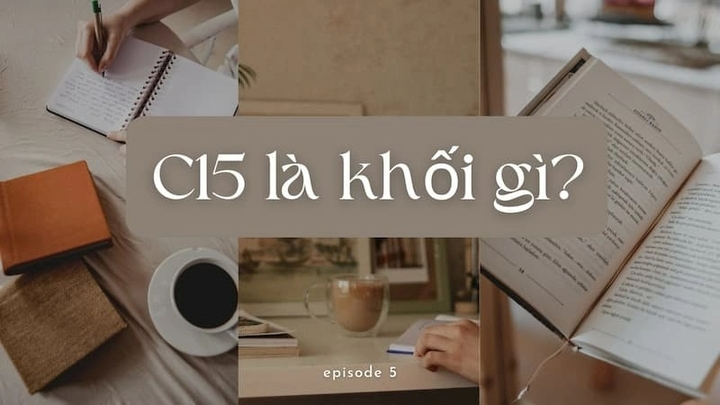 Tìm hiểu Khối C15 gồm những môn nào, ngành nào, trường nào