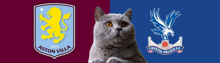 Dự đoán kết quả trận Aston Villa vs Crystal Palace, Ngoại hạng Anh 22h ngày 23/11: Mèo tiên tri sai?