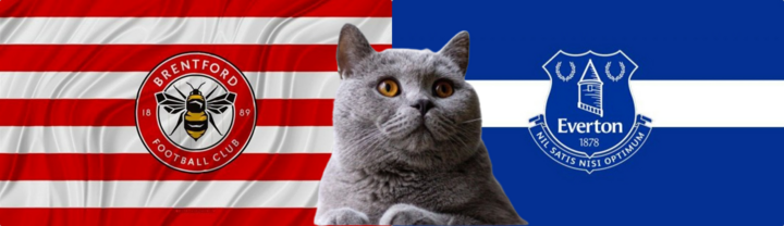 Dự đoán kết quả trận Brentford vs Everton, Ngoại hạng Anh 23h30 ngày 23/9: Mèo tiên tri lo sút vó