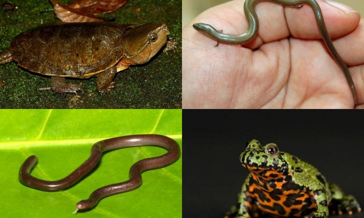 Đắm chìm vẻ đẹp