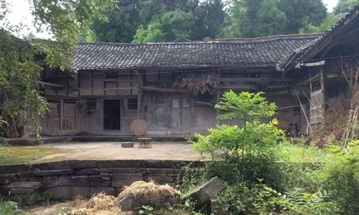 Lão nông đào được kho báu 34 tỷ đồng, tưởng đổi đời ai ngờ chuyên gia phán câu xanh rờn