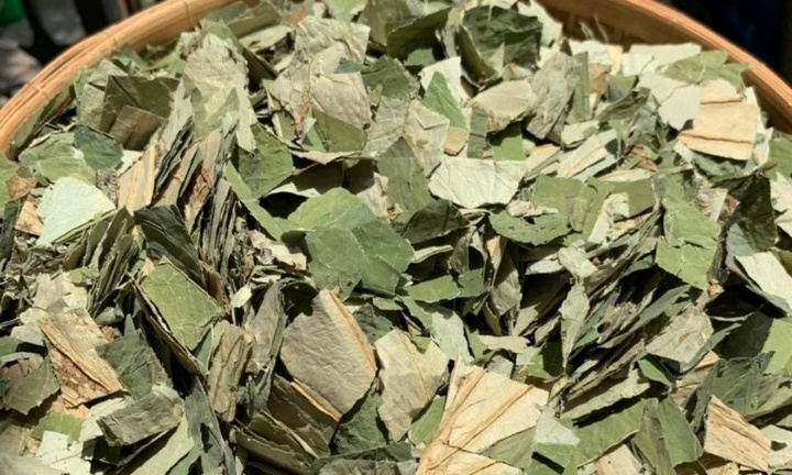 Loại lá phơi khô thành 