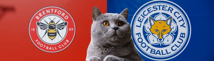 Dự đoán kết quả trận Brentford vs Leicester, Ngoại hạng Anh 22h ngày 30/11: Mèo tiên tri tin lo ngại