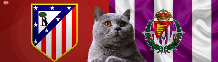 Dự đoán kết quả trận Valladolid vs Atletico, La Liga 3h ngày 1/12: Mèo tiên tri gánh không nổi
