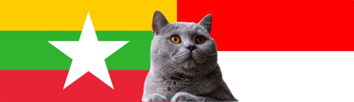 Dự đoán kết quả trận Myanmar vs Indonesia, ASEAN Cup 19h30 ngày 9/12: Mèo tiên tri theo số đông