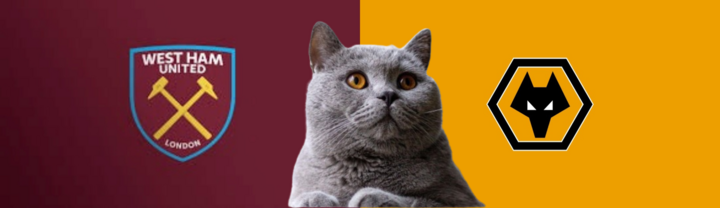 Dự đoán kết quả trận West Ham vs Wolves, Ngoại hạng Anh 3h ngày 10/12: Mèo tiên tri vô định