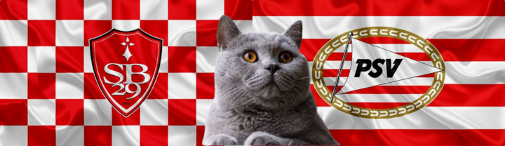 Dự đoán kết quả trận Brest vs PSV, Champions League 3h ngày 11/12: Mèo tiên tri như chuyên gia