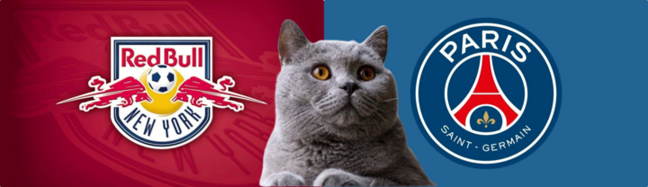 Dự đoán kết quả trận Salzburg vs PSG, Champions League 3h ngày 11/12: Mèo tiên tri khó lường