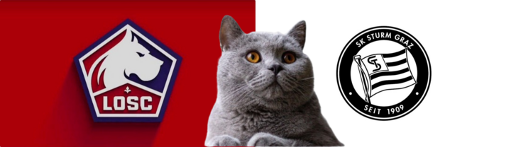 Dự đoán kết quả trận Lille vs Sturm Graz, Champions League 0h45 ngày 12/12: Mèo tiên tri quyết đoán