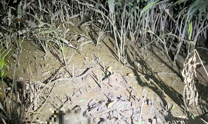 Vụ bộ xương người ở đường dẫn cao tốc TP.HCM - Long Thành - Dầu Giây: Manh mối bất ngờ