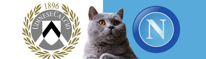 Dự đoán kết quả trận Udinese vs Napoli, Serie A 0h ngày 15/12: Mèo tiên tri đau đầu