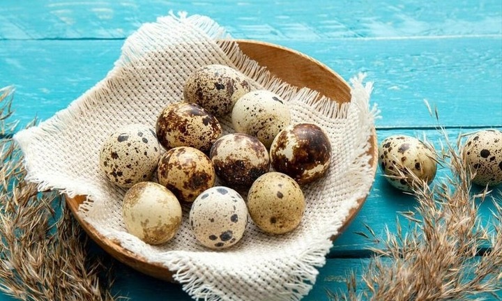 Trứng chim cút được ví như 