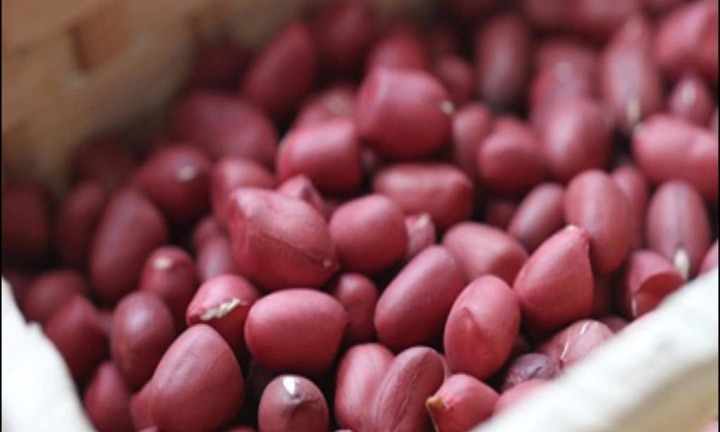 Đậu phộng được ví như 