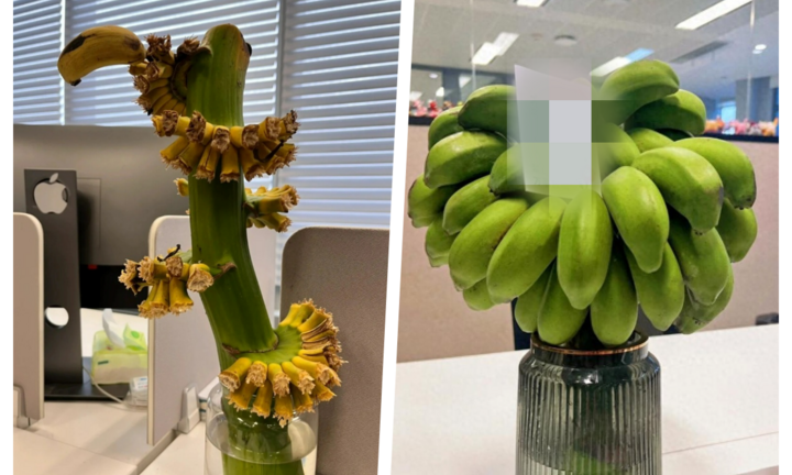 Nghề lạ thời 4.0: Theo trend