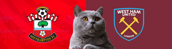 Dự đoán kết quả trận Southampton vs West Ham, Ngoại hạng Anh 22h ngày 26/12: Mèo tiên tri sai?