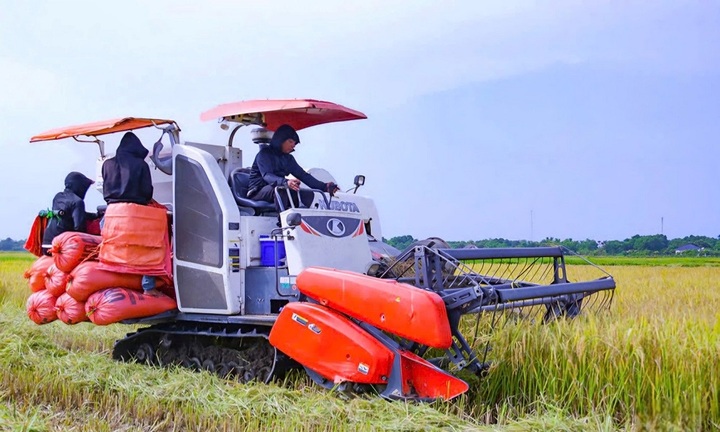 Ngành nông nghiệp dự kiến tăng trưởng 3,3 - 3,4% trong năm 2025