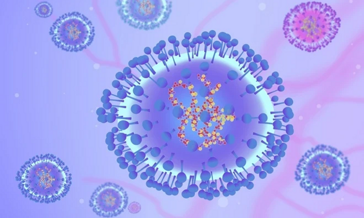 HMPV không phải virus mới, từng xuất hiện ở TP.HCM khi nào?