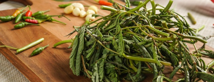 Rau rút chữa bệnh gì?