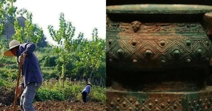 Bị rắn cắn, lão nông vác cuốc đi trả thù thì đào trúng “kho báu quốc gia