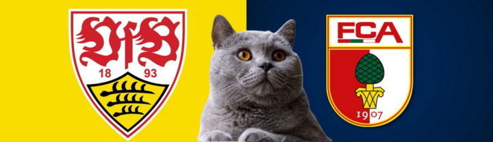 Dự đoán kết quả trận Augsburg vs Stuttgart, Bundesliga 23h30 ngày 12/1: Mèo tiên tri theo bản năng