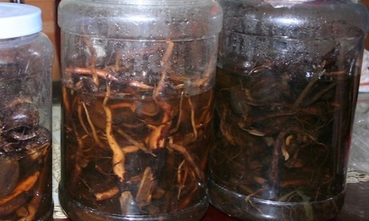 Diễn biến mới vụ 1 người tử vong, 4 người nghi ngộ độc rượu ngâm lá cây  