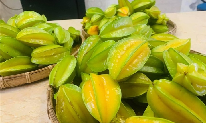 Một số bài thuốc chữa bệnh từ quả khế bạn nên biết