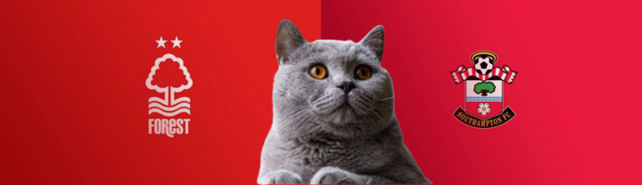 Dự đoán kết quả Nottingham vs Southampton, Ngoại hạng Anh 21h ngày 19/1: Mèo tiên tri chọn ai?